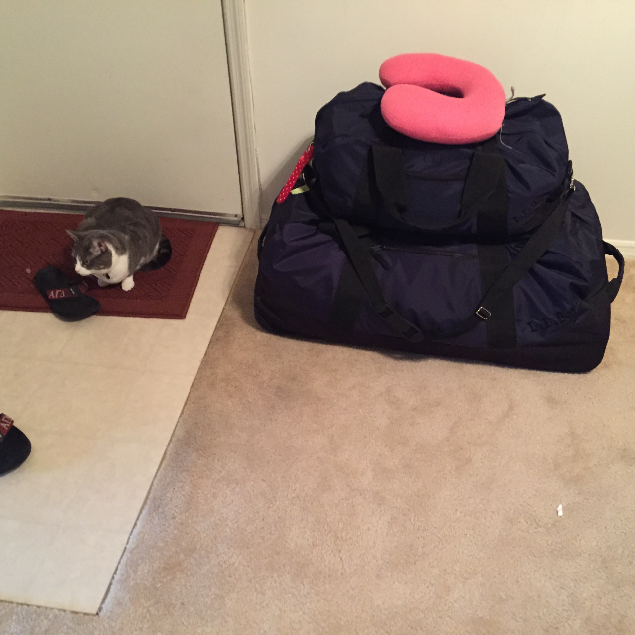 tumblr_inline_ocxnuijqfq1qlyfbb_1280