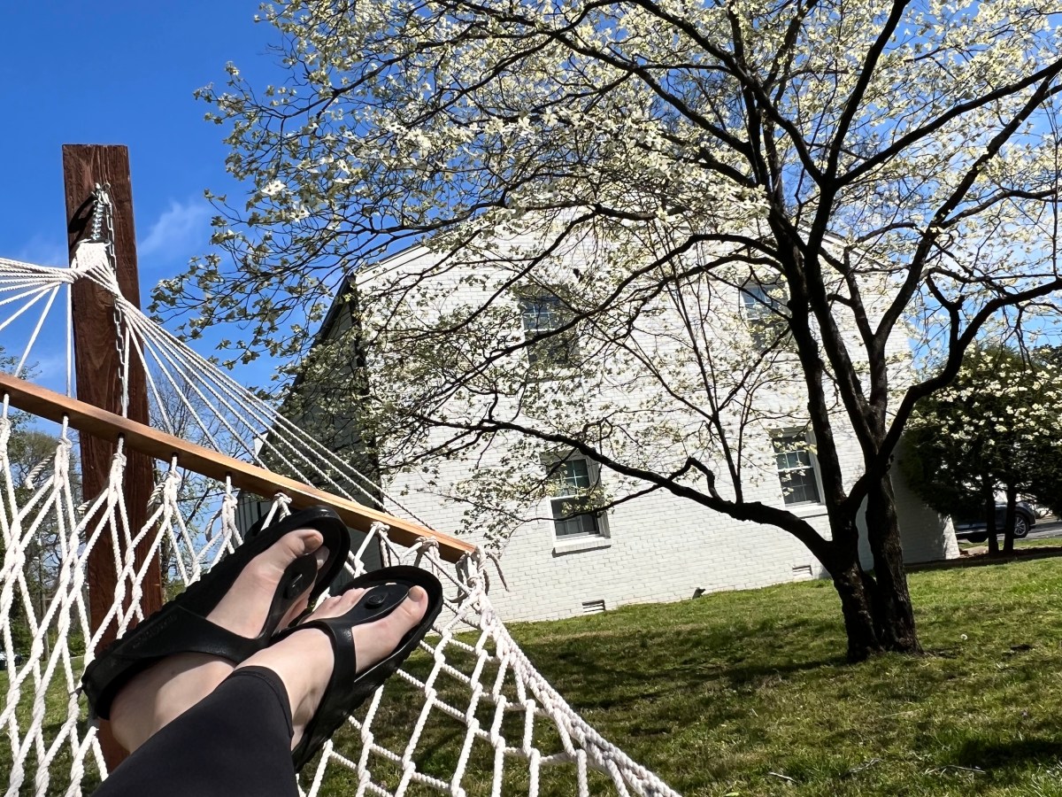 2024 Q1 Report: Holding Myself&nbsp;Accountable